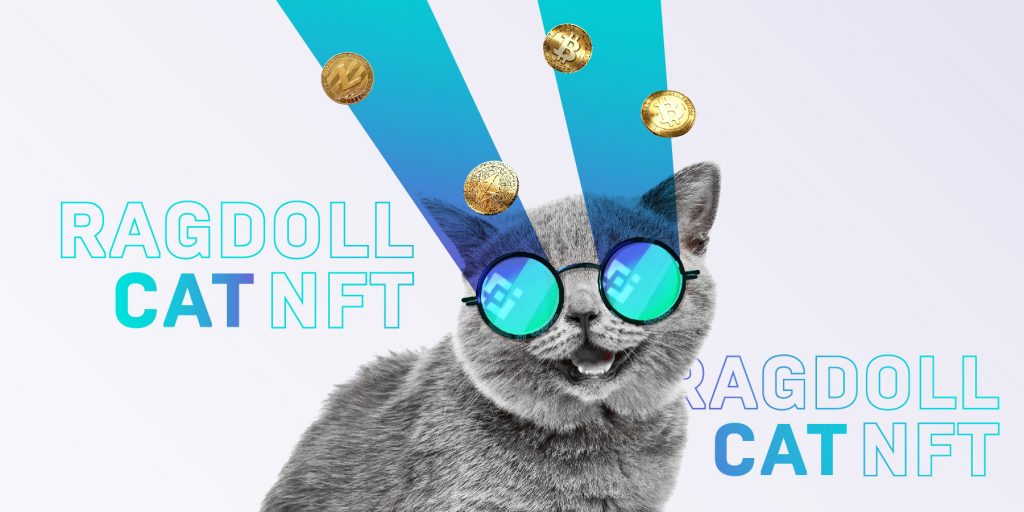 Ragdoll Cat NFT, marketplace, NFT, tokens, cryptocurrency, BNB, RDC