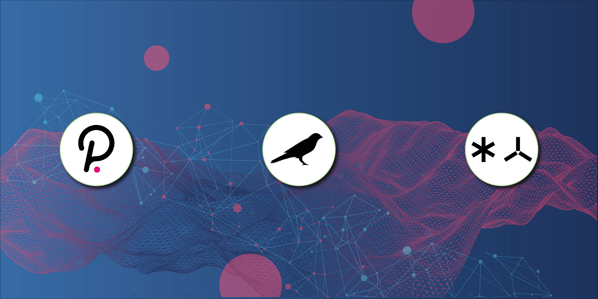 Блокчейн и криптовалюта Polkadot (DOT)
