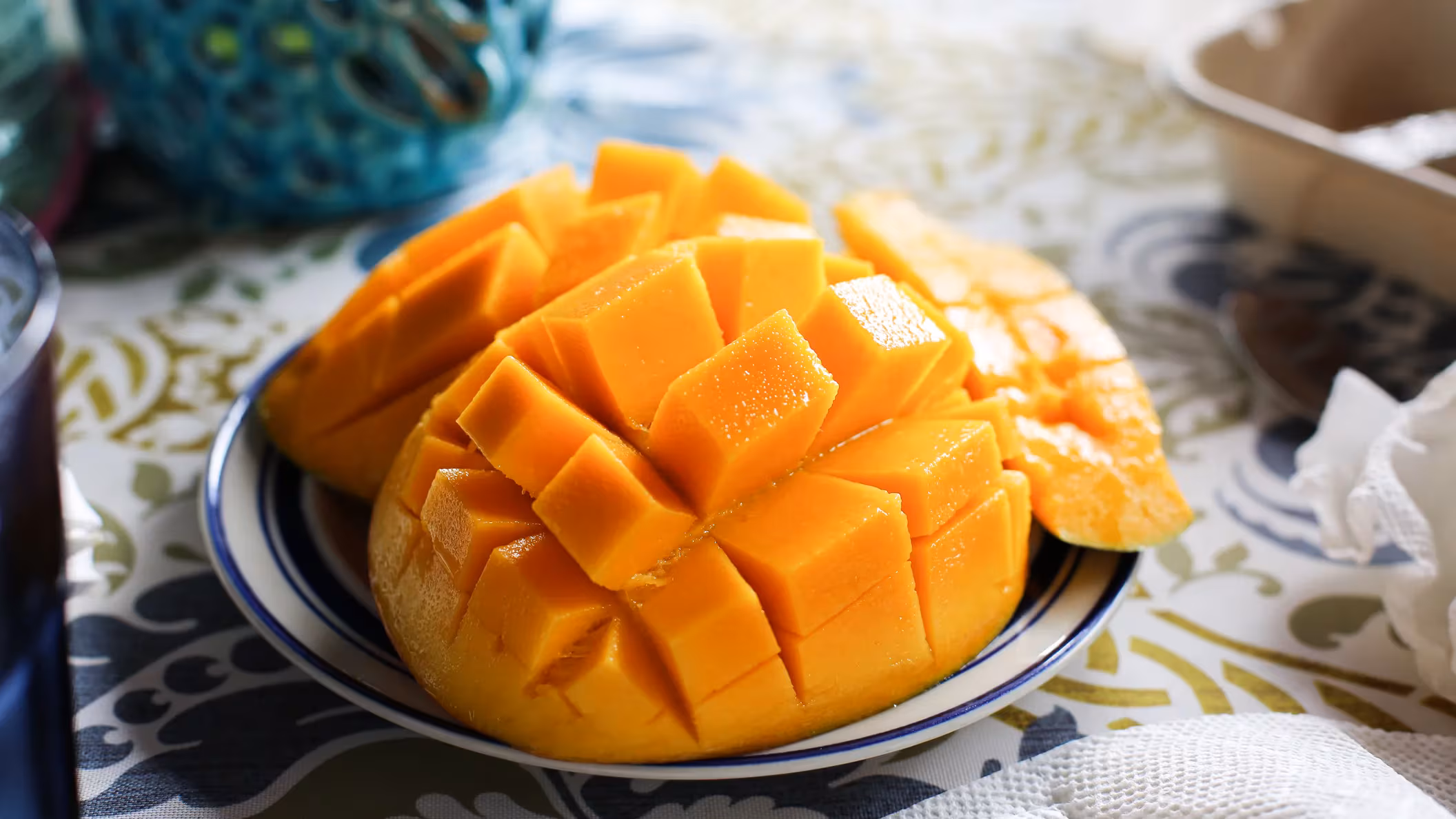 Изображение — mango – FUTUREBY Mango