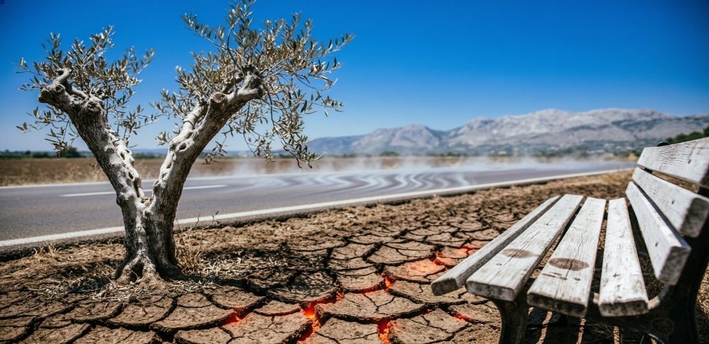 Heatdomejpg